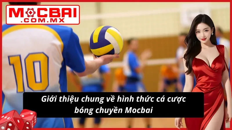 Bóng Chuyền - Hình Thức Cá Độ Thể Thao Hot Nhất Mocbai 2025 2 Giới thiệu về hình thức cá độ bóng chuyền siêu hot