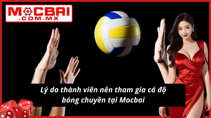 Bóng Chuyền - Hình Thức Cá Độ Thể Thao Hot Nhất Mocbai 2025 3 Lý do nên tham gia cá độ bóng chuyền tại website