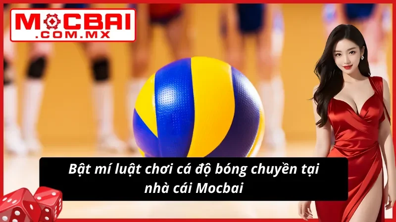 Bóng Chuyền - Hình Thức Cá Độ Thể Thao Hot Nhất Mocbai 2025 4 Bật mí luật chơi cá độ bóng chuyền tại nhà cái