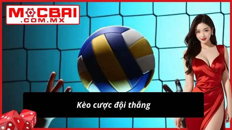 Bóng Chuyền - Hình Thức Cá Độ Thể Thao Hot Nhất Mocbai 2025 6 Kèo bóng chuyền đội thắng cực đỉnh
