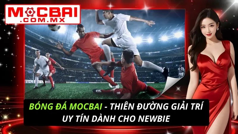 Bóng Đá