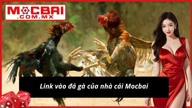 Link xịn sò tham gia Đá Gà dễ dàng và an toàn