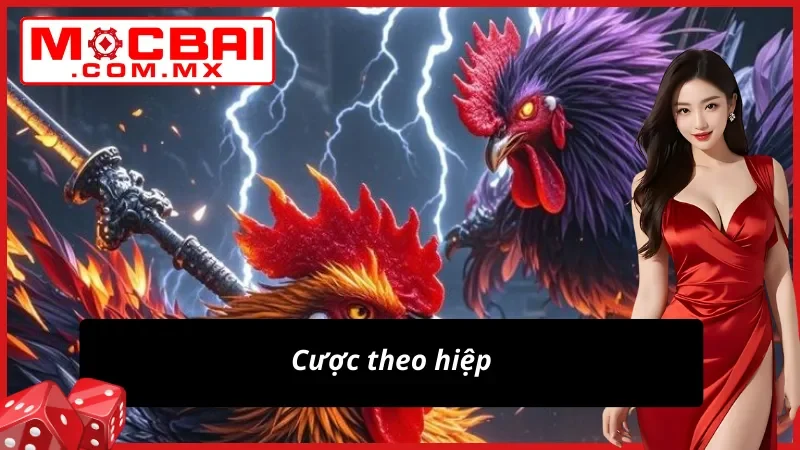 Đá Gà Savan – Trường Gà Tiềm Năng Cho Mọi Cược Thủ Mocbai 5 Cược theo hiệp thắng lớn cùng Đá Gà Savan