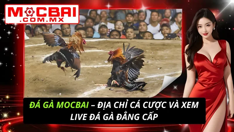 Đá Gà
