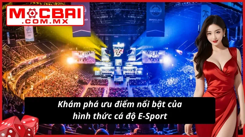Cá Cược E-Sport - Điểm Đến Lý Tưởng Nhất Dành Cho Newbie Tại Mocbai 3 Khám phá ưu điểm của hình thức cá độ E-Sport