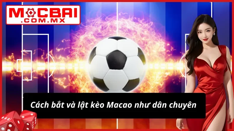 Kèo Macao - Cách Lật Ngược Tình Thế Như Dân Chuyên Tại Mocbai 6 Lật kèo Macao chuyên nghiệp như một cao thủ cá độ
